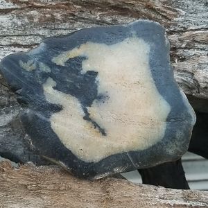 Agate, Kentucky agate, sliced,lightly polished